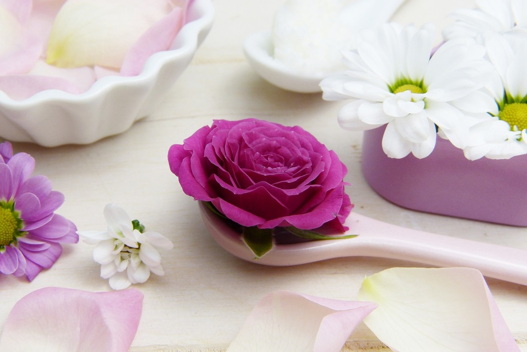 紫色の薔薇と白い花の画像