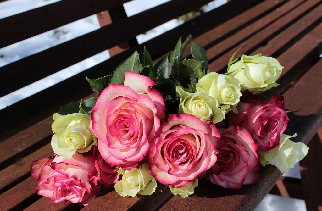 ベンチに薔薇の花束が置かれている画像